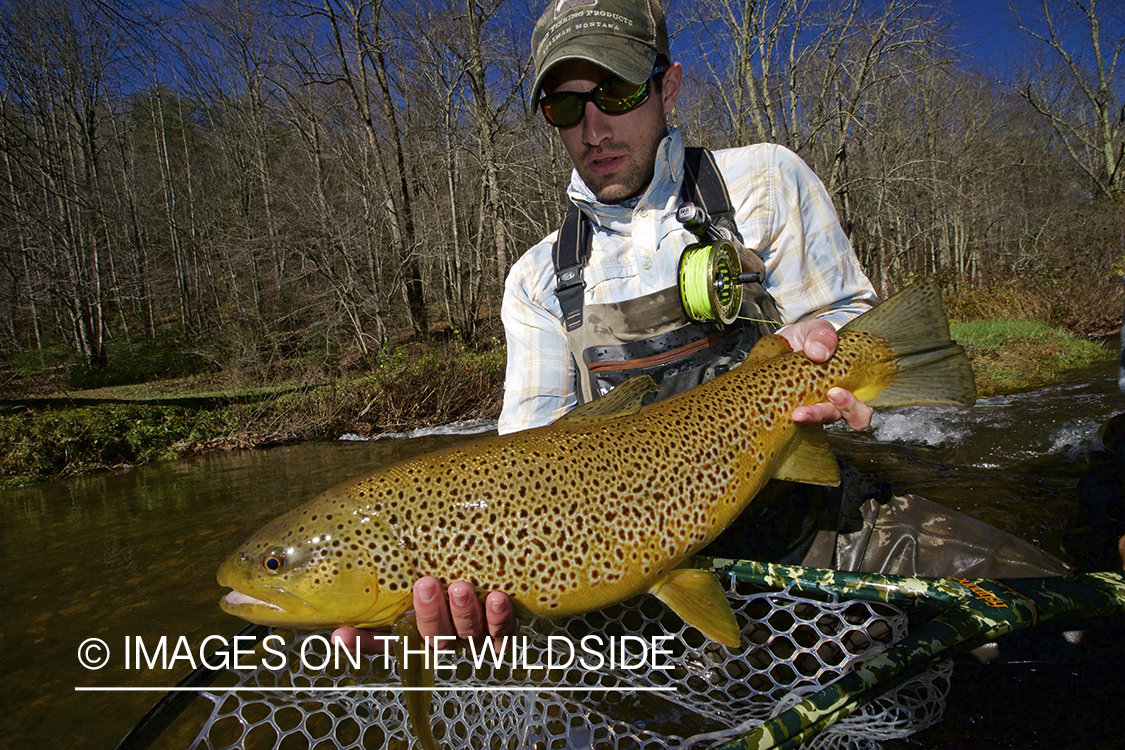 Flyfisherman with brown trout.