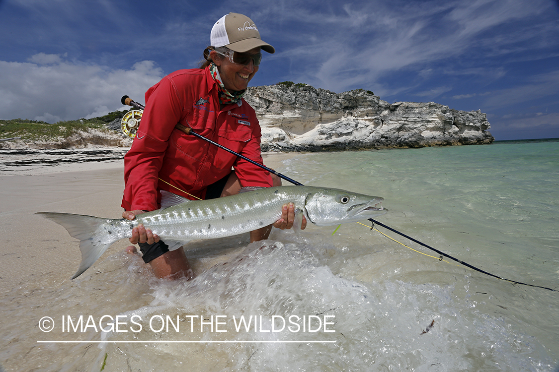 Saltwater flyfishing woman releasing barracuda.