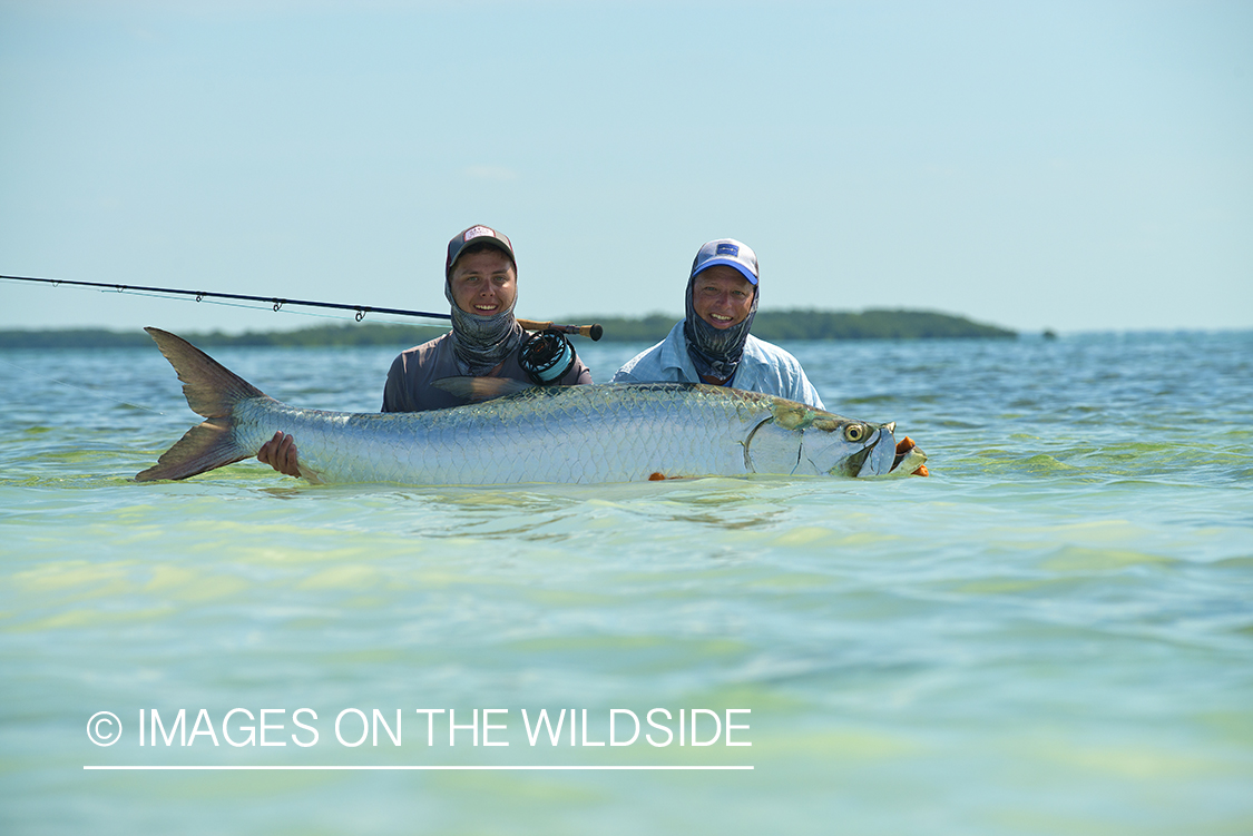 Flyfishermen with tarpon.