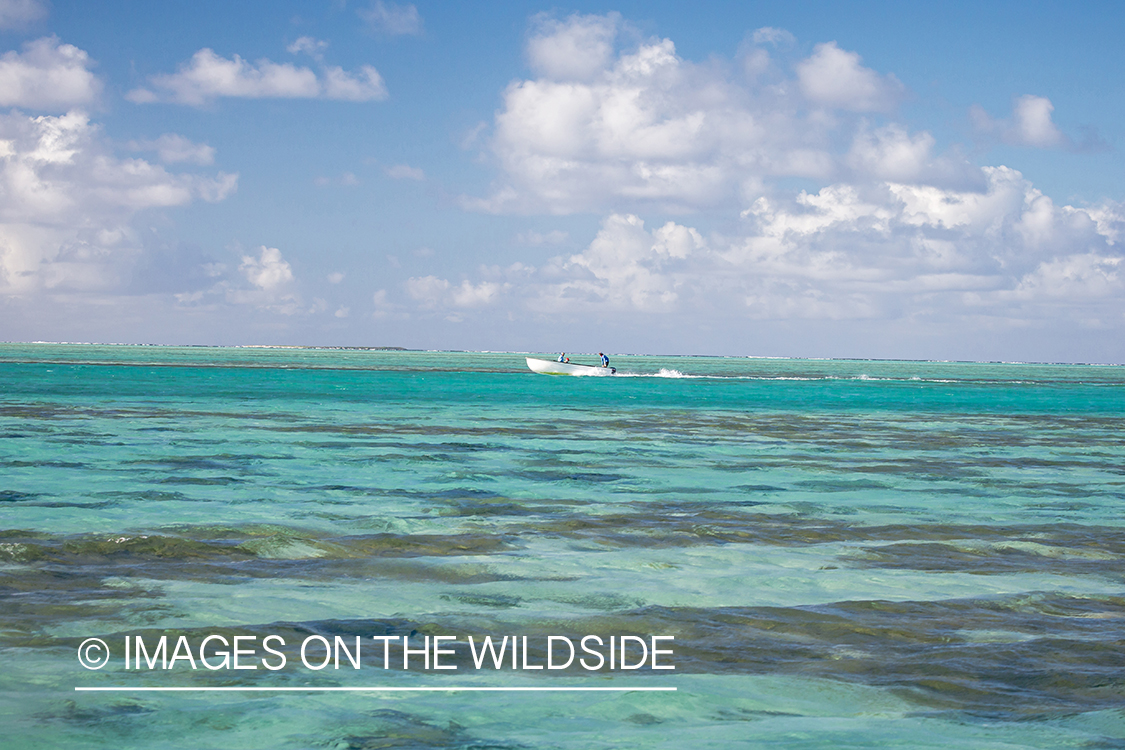 Flyfisherman in boats on St. Brandon's Atoll flats, Indian Ocean.