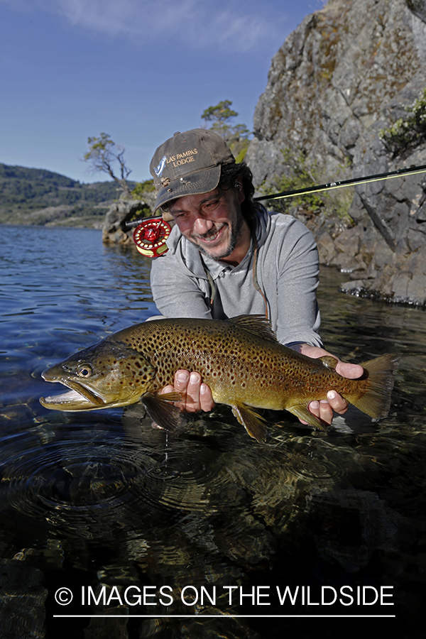 Flyfisherman releasing brown trout.