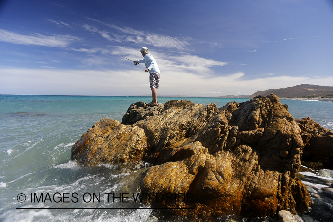 Flyfisherman fishing for roosterfish on beach.