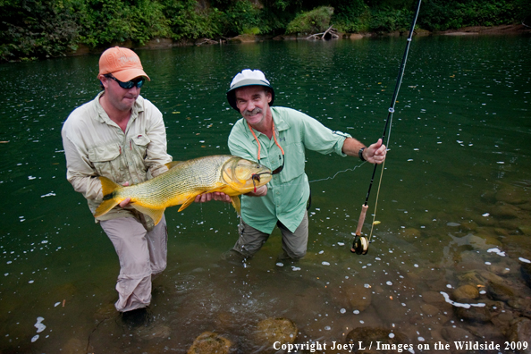 Flyfishermen with Golden Dorado