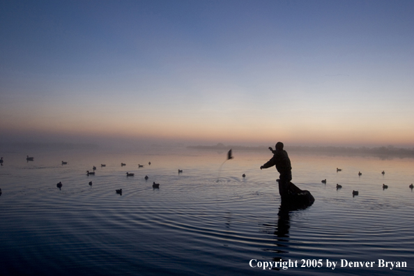 Waterfowl hunter setting decoys on water.