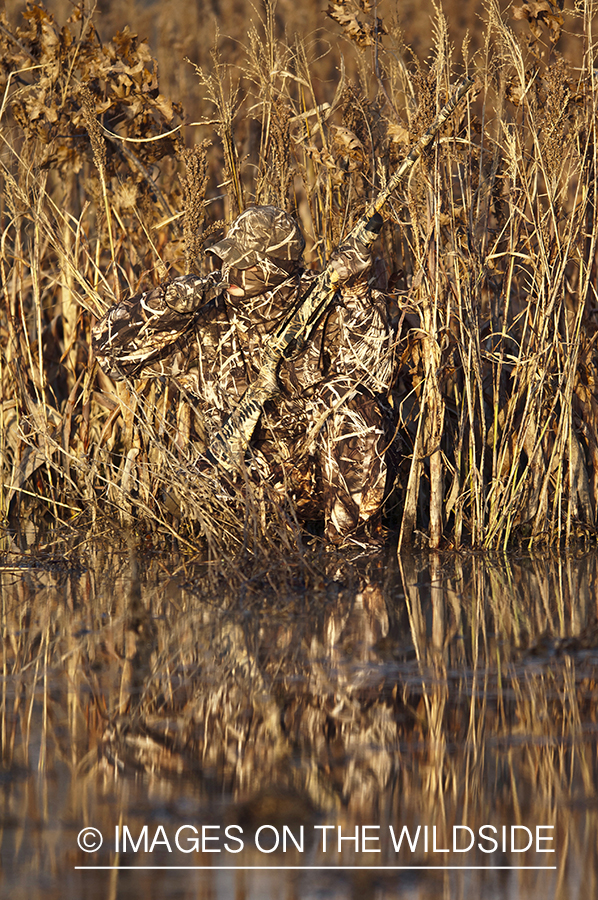 Waterfowl hunter waterfowl calling in wetlands.