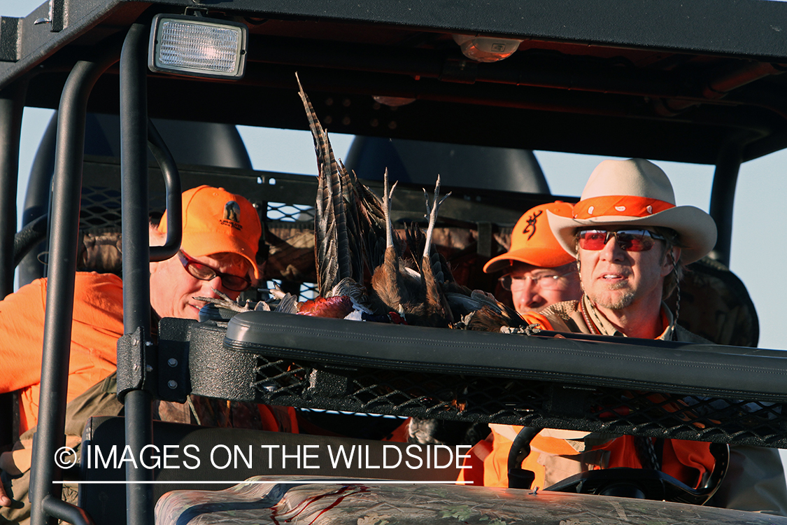 Upland game bird hunters with bagged pheasants in ATV.