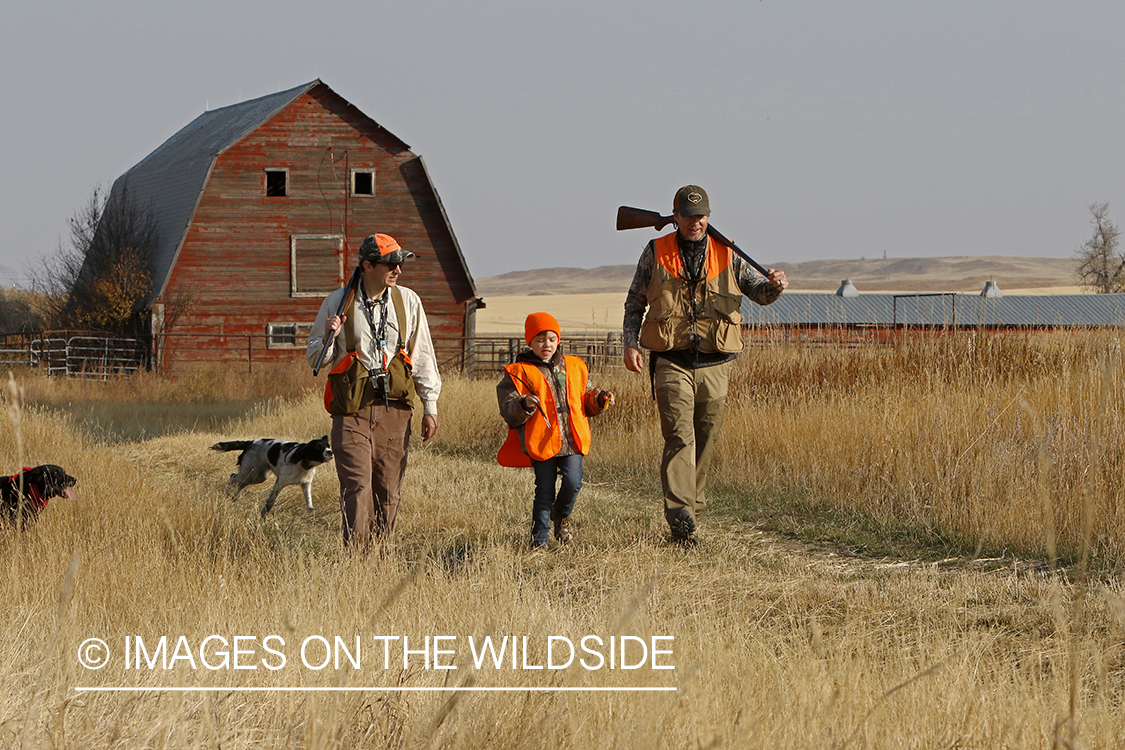 Father and sons hunting game bird.