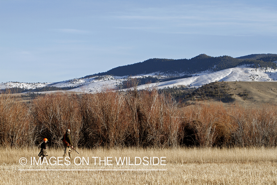 Father and son pheasant hunting.