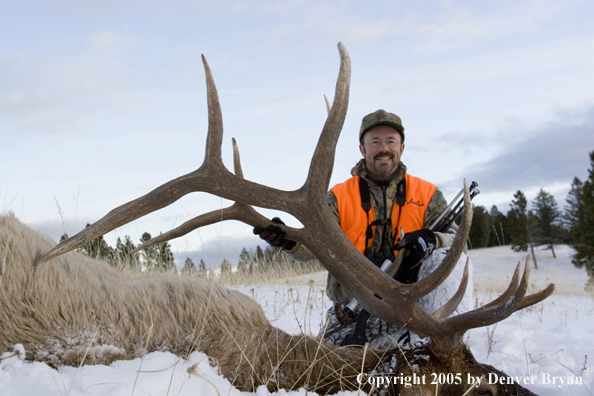 Elk hunter with downed bull elk.