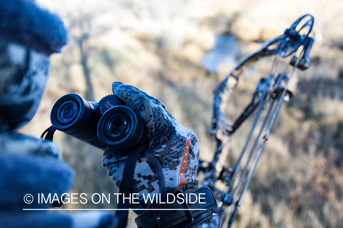 Bow hunter in tree stand glassing for white-tailed deer.