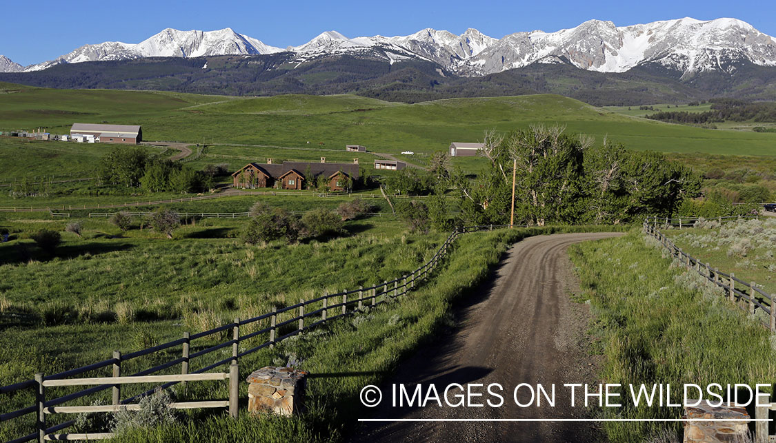 Montana ranch near the Bridger Mountains.