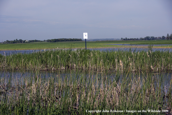 Sign posted on wetlands