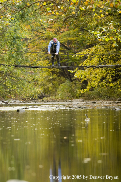 Flyfisherman looks down on a Pennsylvania spring creek from a foot bridge.