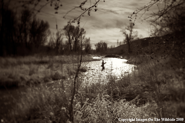 Flyfisherman on river.