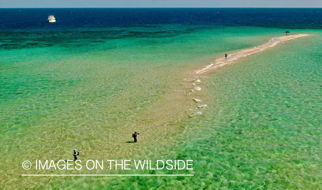 Ariel view (drone) saltwater flyfishing along Great Barrier reef with liveaboard in view.