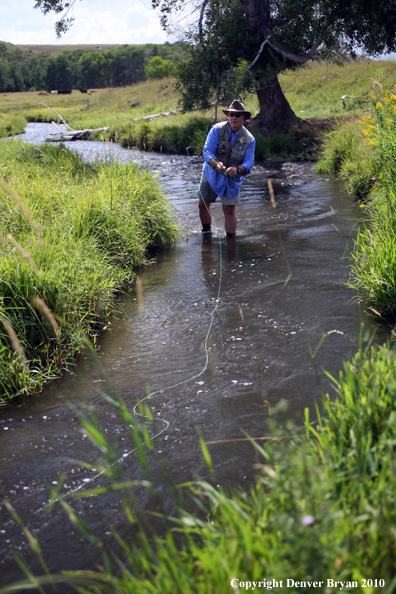 Flyfisherman landing rainbow trout