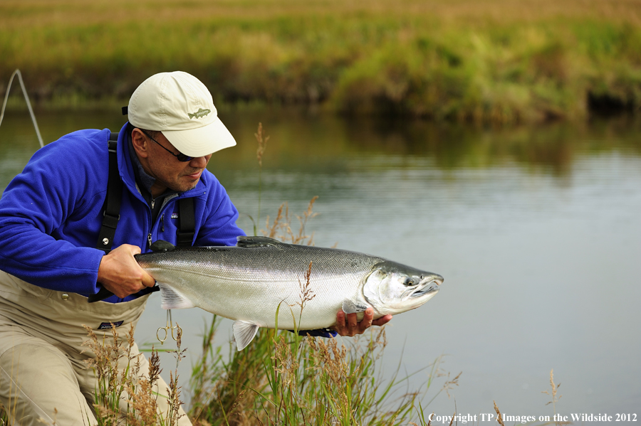 Flyfisherman with silver salmon. 