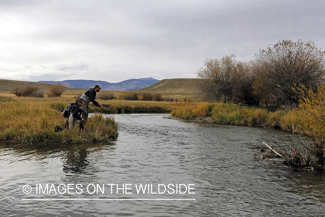 Flyfishermen casting on river. 