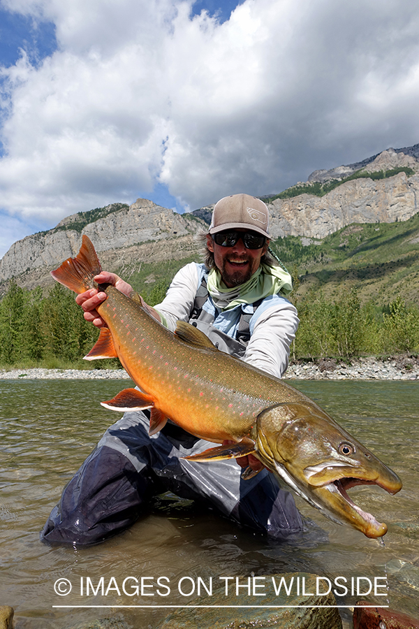 Flyfisherman with bull trout.