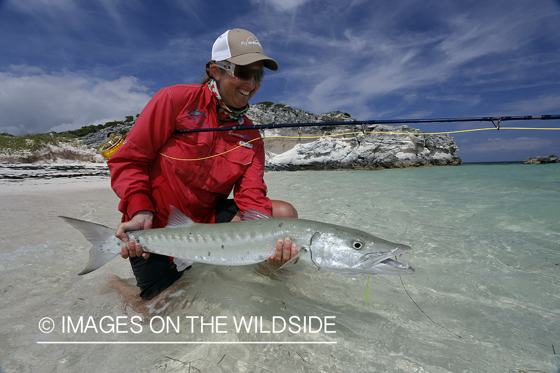 Saltwater flyfishing woman releasing barracuda.