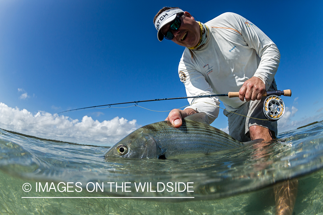 Flyfisherman releasing Bonefish.