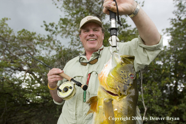 Fisherman holding Peacock Bass