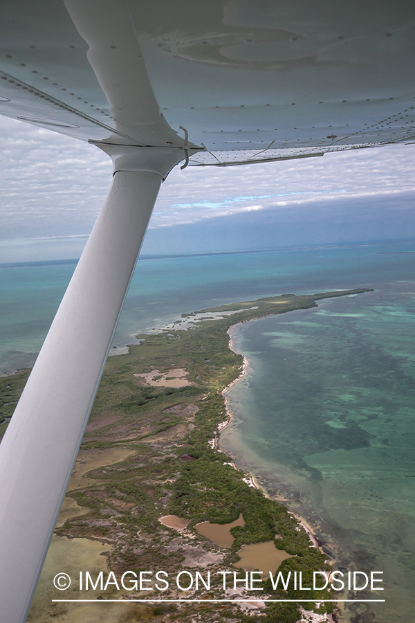 Ariel view of Belize from small plane.