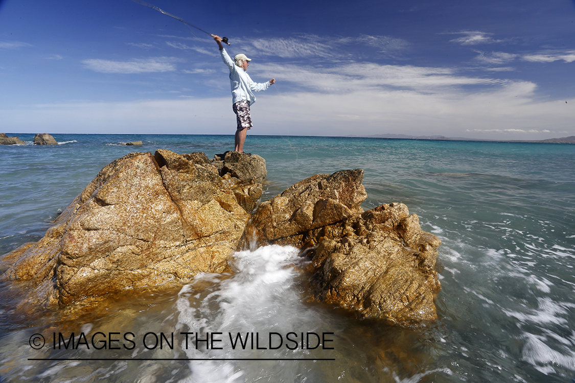 Flyfisherman fishing for roosterfish on beach.