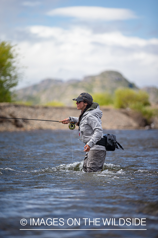 Woman fly fishing guide(Marcela Appelhanz) on stream.