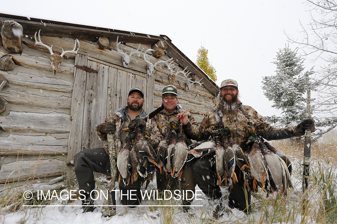 Duck hunters with bagged mallards in winter snow conditions.