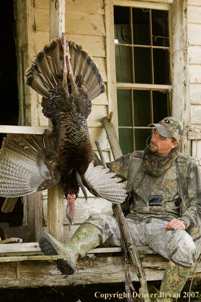 Turkey hunter in field with bagged bird