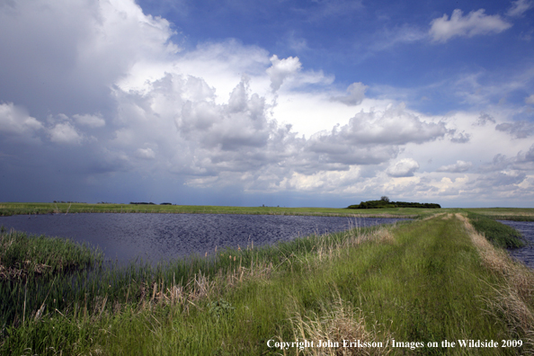 Storm coming in over wetlands 