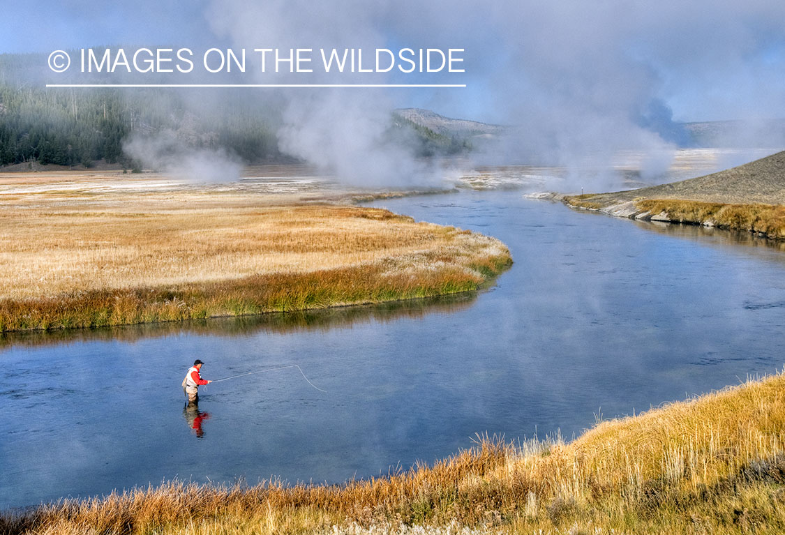 Flyfishing on Firehole River, Yellowstone National Park. 