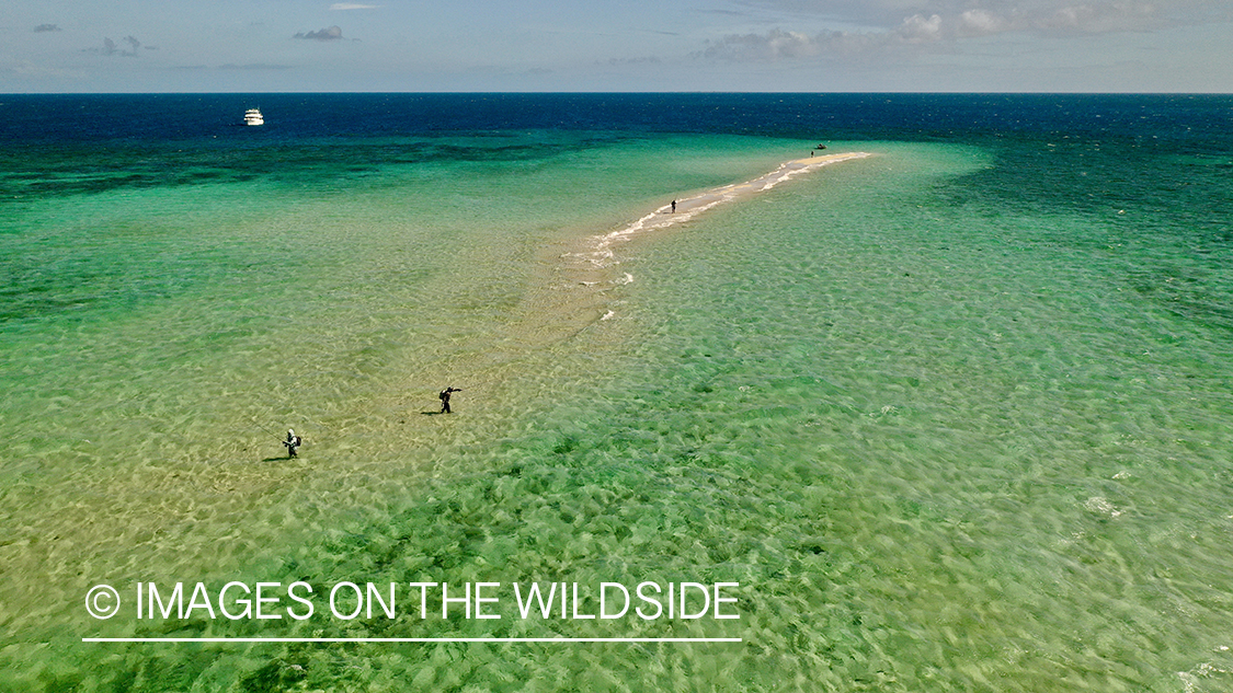 Ariel view (drone) saltwater flyfishing along Great Barrier reef with liveaboard in view.