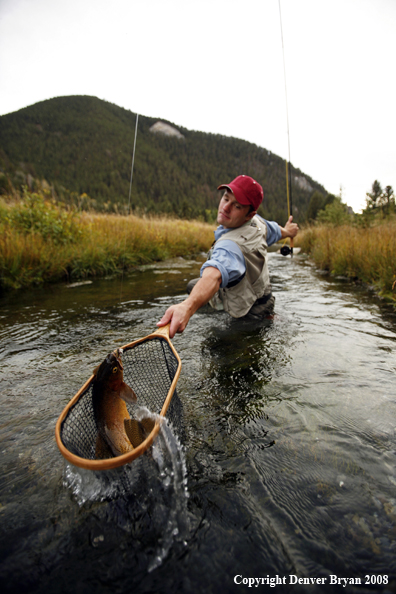 Flyfisherman Landing Cutthroat Trout