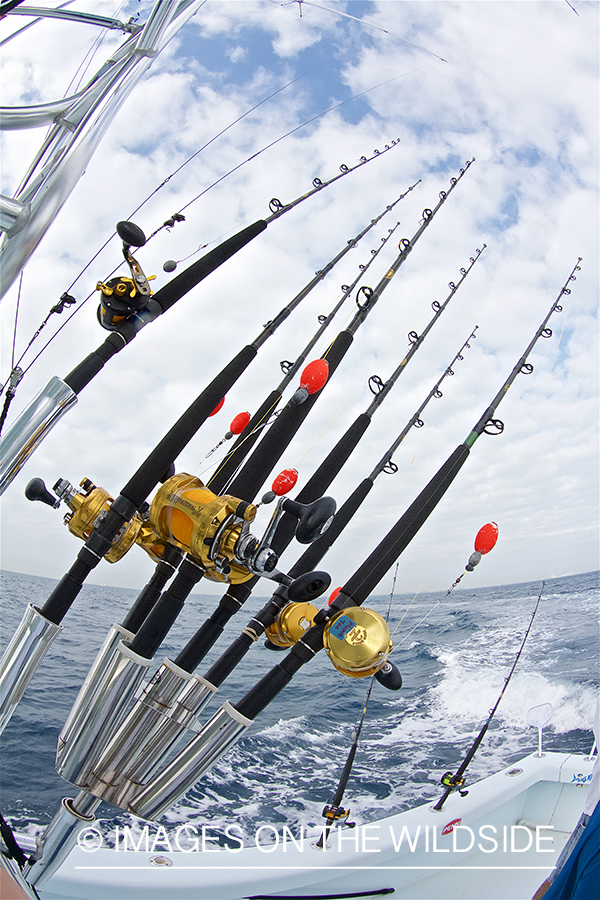 Fishing rods set.