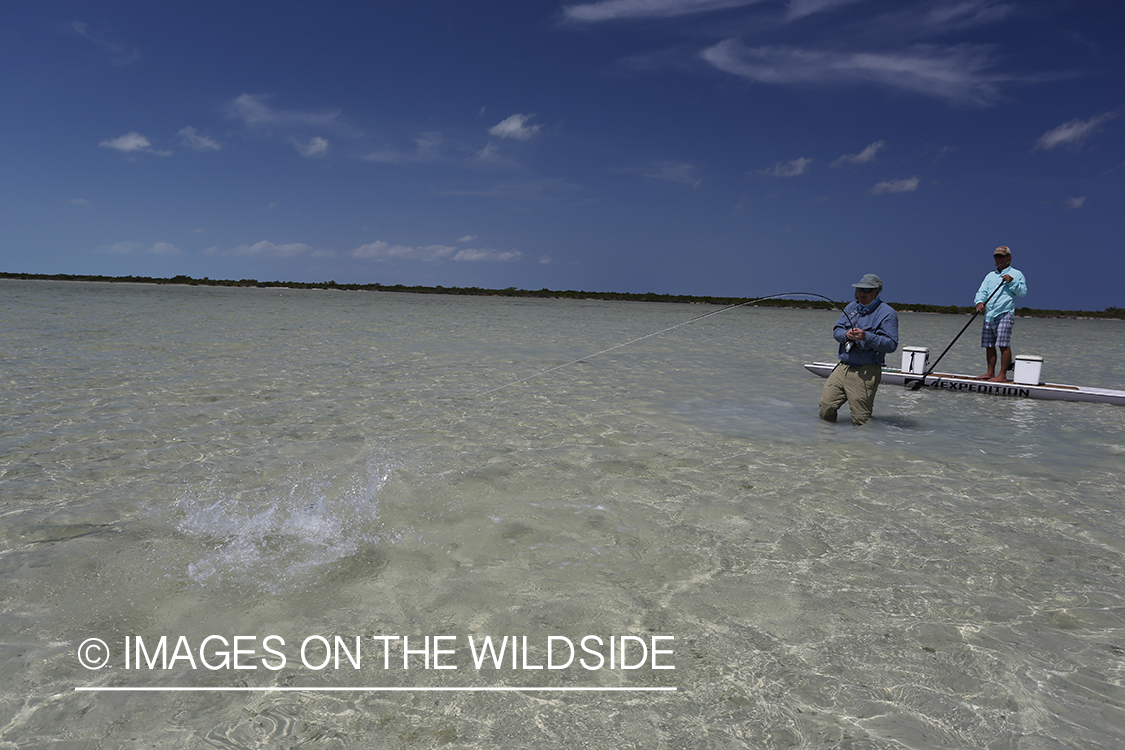 Saltwater flyfisherman fighting fish.