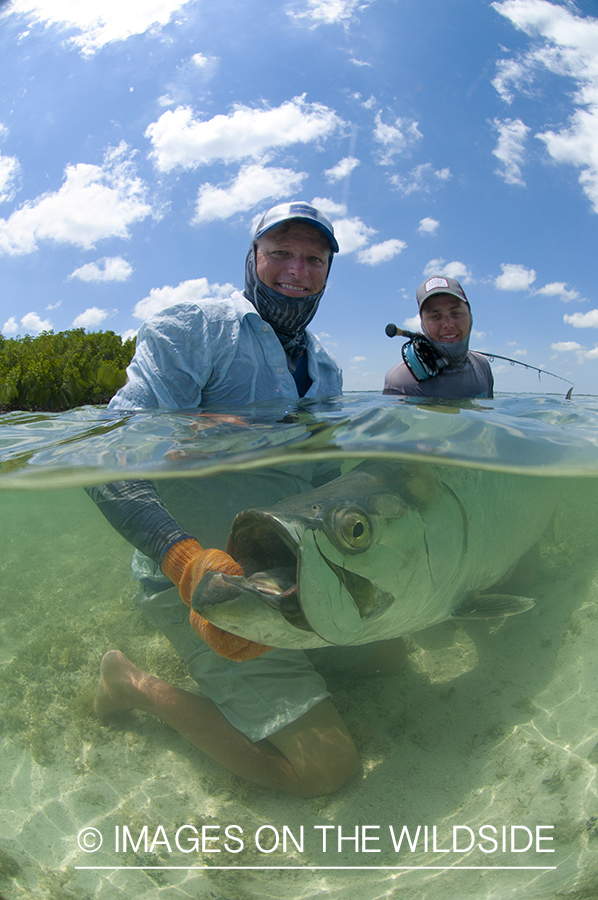 Flyfishermen with tarpon.