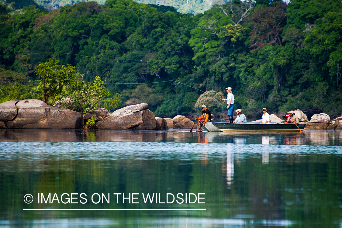 Flyfisherman fighting with fish in Kendjam region, Brazil.