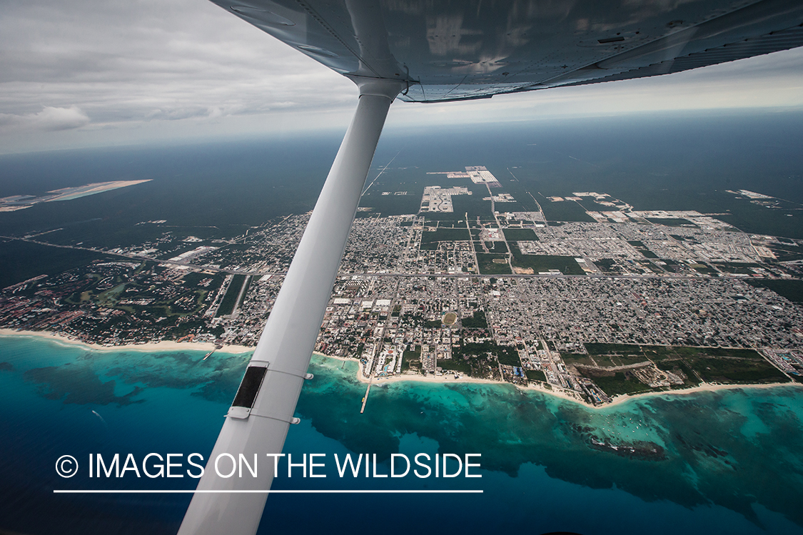 Ariel view of Belize from small plane.