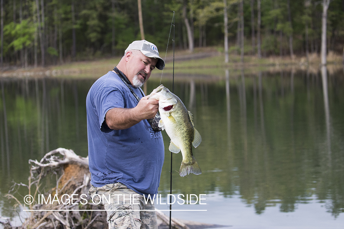 Fisherman with Largemouth Bass.