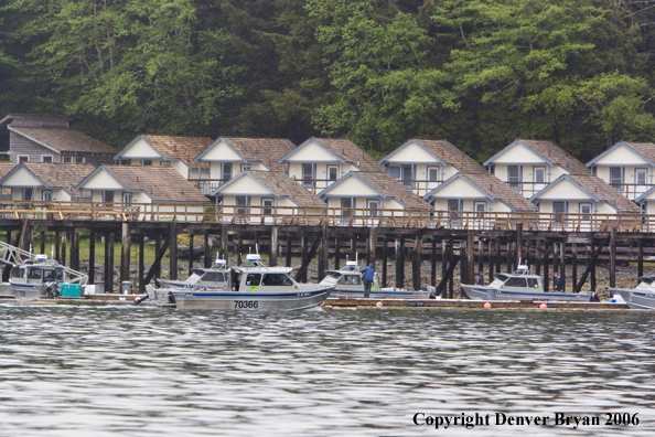 Fishing boats docked in front of the fishing lodge.  (Alaska/Canada)