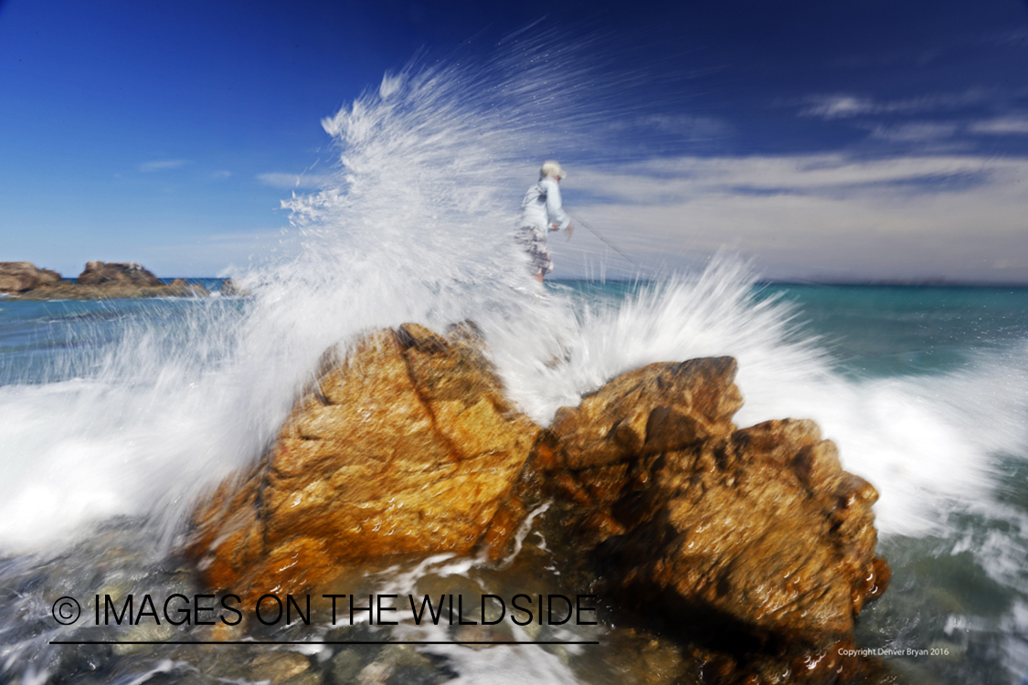 Flyfisherman fishing for roosterfish on beach.