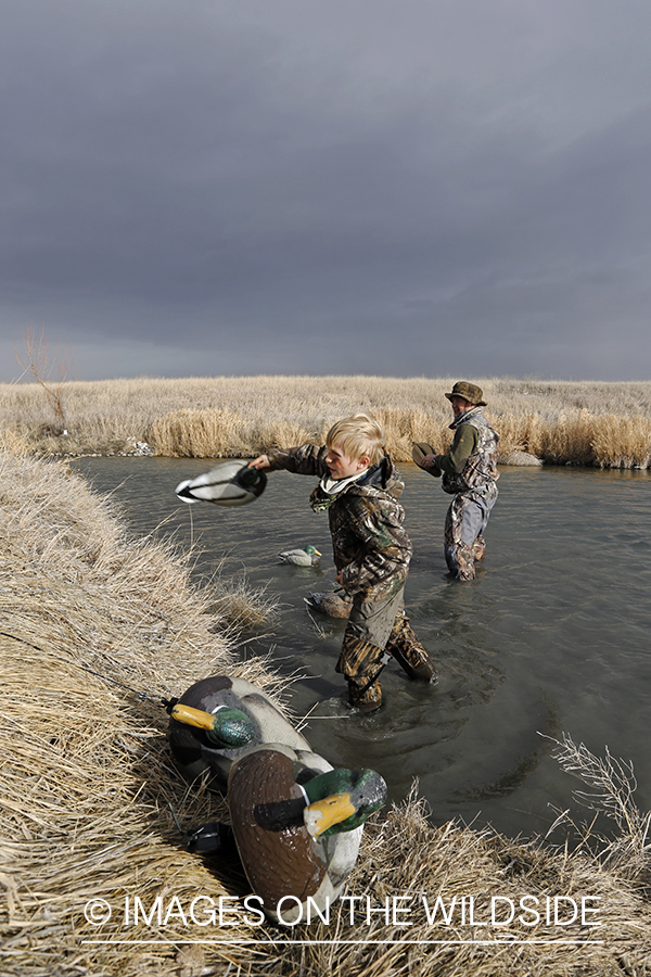 Father and son collecting decoys waterfowl hunting.