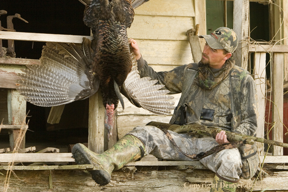 Turkey hunter in field with bagged bird