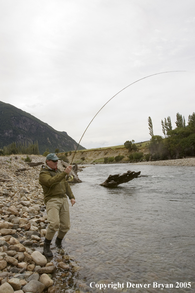 Flyfisherman fighting fish from bank.