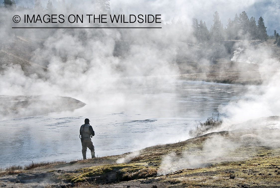 Flyfishing on Firehole River, Yellowstone National Park. 