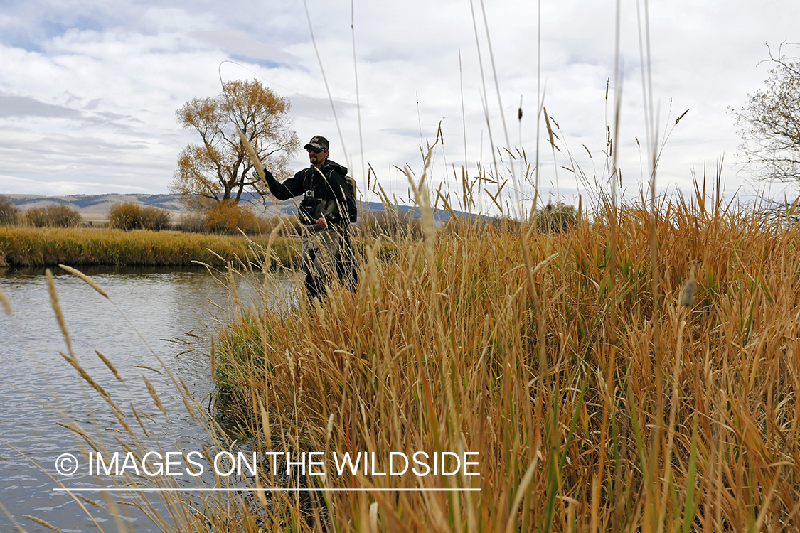 Flyfisherman casting on river.