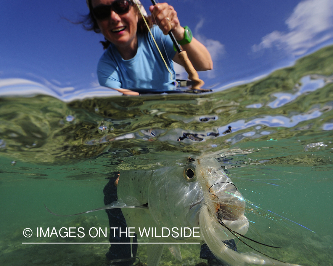 Flyfisherman with giant trevally.