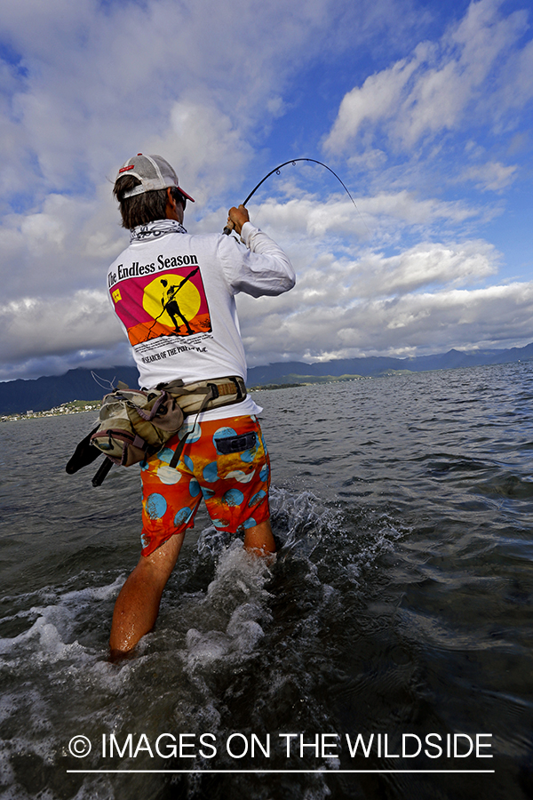 Saltwater flyfisherman fighting bonefish from flats, in Hawaii.